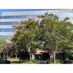 出光興産，米州地域機能会社が本格活動開始