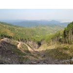 出光興産，木質バイオマス材利活用及び森林整備等に関する連携協定を締結