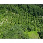 出光興産，北海道製油所が「第10回みどりの社会貢献賞」を受賞