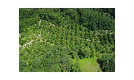 出光興産,北海道製油所が「第10回みどりの社会貢献賞」を受賞