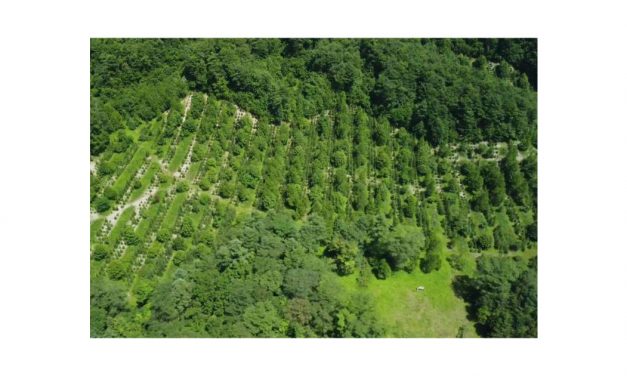 出光興産，北海道製油所が「第10回みどりの社会貢献賞」を受賞