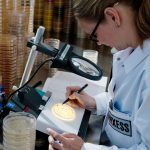 ランクセス，微生物制御用の有効成分「プリベントール CMK」の生産能力を50％増強