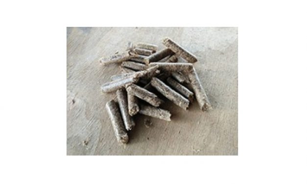 IHI，固体バイオマス燃料事業を本格化