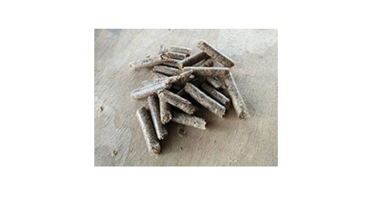 IHI，固体バイオマス燃料事業を本格化