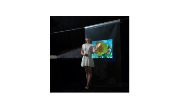 JXTGエネルギー，スクリーン用透明フィルムの飛散防止機能付きフロントタイプを販売開始