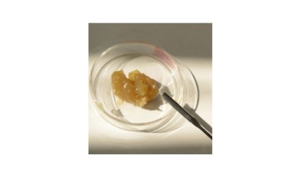 SKF，ハブベアリングユニット用グリースを開発