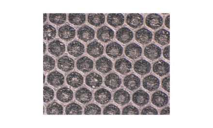ジヤトコ,バイオミメティクス(生物模倣)を活用した湿式クラッチを開発