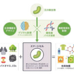 出光興産,神戸大学発ベンチャーのバッカス・バイオイノベーションへ出資
