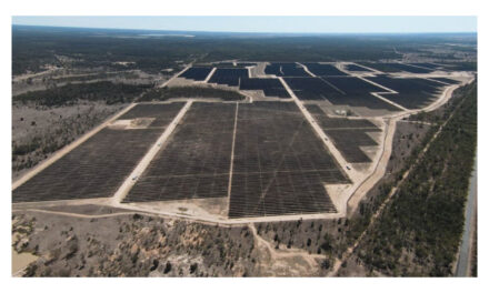 ENEOSと双日,豪州における太陽光発電事業Edenvaleの開所式が開催される