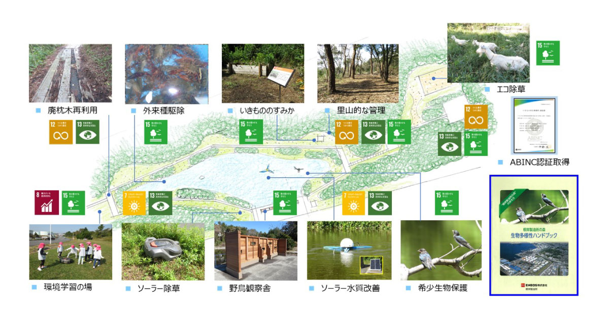 23_12_6_3 ENEOS,根岸製油所が環境省の「自然共生サイト」として正式に認定