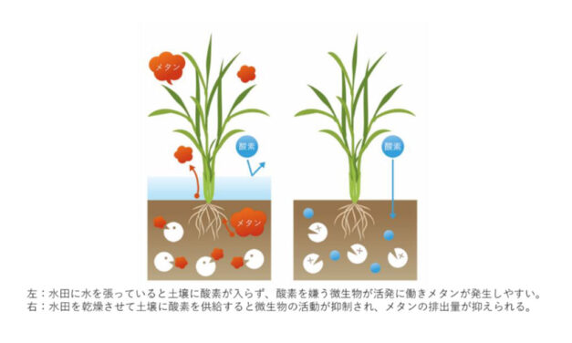 出光興産とGreen Carbon，二国間クレジット制度に基づくカーボンクレジット創出を推進