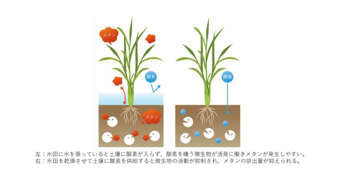 25_9_24_3 出光興産とGreen Carbon,二国間クレジット制度に基づくカーボンクレジット創出を推進