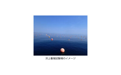 北海道立総合研究機構とENEOS，大規模ブルーカーボン創出に向けた調査・養殖試験を開始