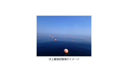 北海道立総合研究機構とENEOS，大規模ブルーカーボン創出に向けた調査・養殖試験を開始