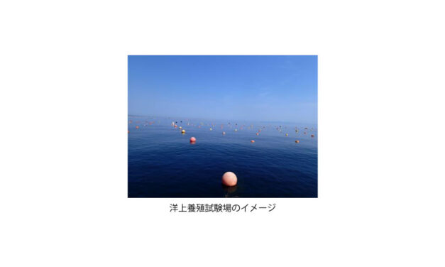 北海道立総合研究機構とENEOS，大規模ブルーカーボン創出に向けた調査・養殖試験を開始
